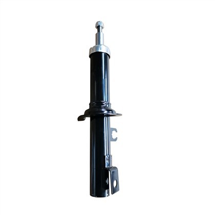 AA10034700 Shock Absorber